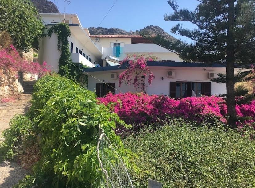 Garden House Leilighet Khóra Sfakíon Eksteriør bilde